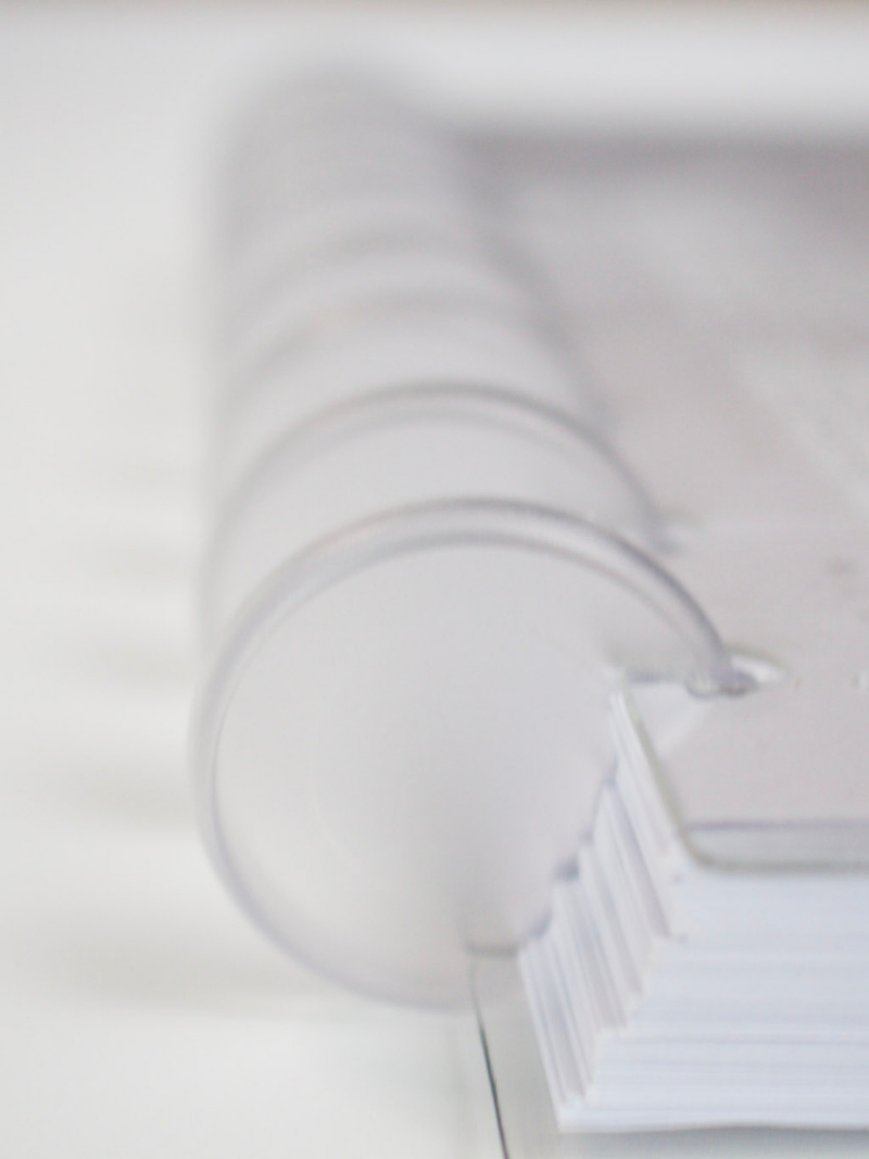 Frosted Planner Discs