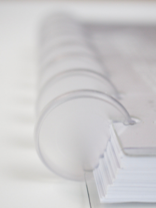 Frosted Planner Discs